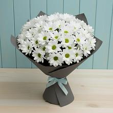 Букет цветов из:  Хризантемы #REPLACE_PRED# Вейделевке