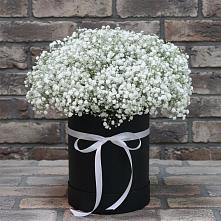 Цветочная композиция из Гипсофила в шляпной коробке в Вейделевке