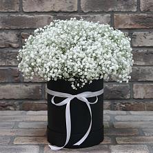 Цветочная композиция из Гипсофила в шляпной коробке в Вейделевке