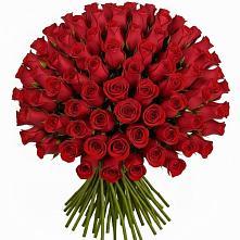 Букет Красные розы Чери Лав в Вейделевке