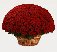 Премиум букет из: Розы в Вейделевке