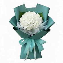 Букет цветов из:  Гортензия в Вейделевке